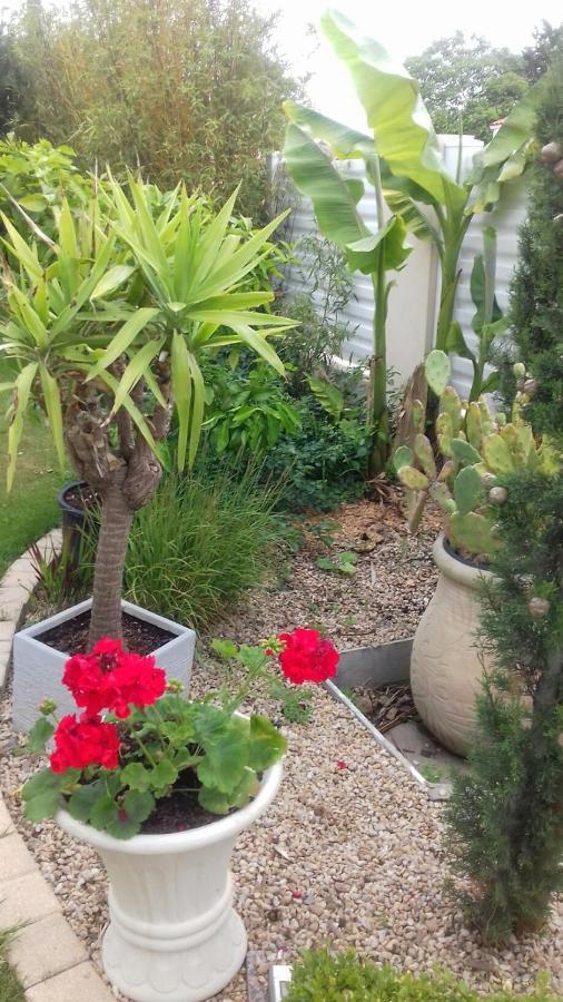 Chambres D'Hotes La Rose Des Sables Les Herbiers Dış mekan fotoğraf